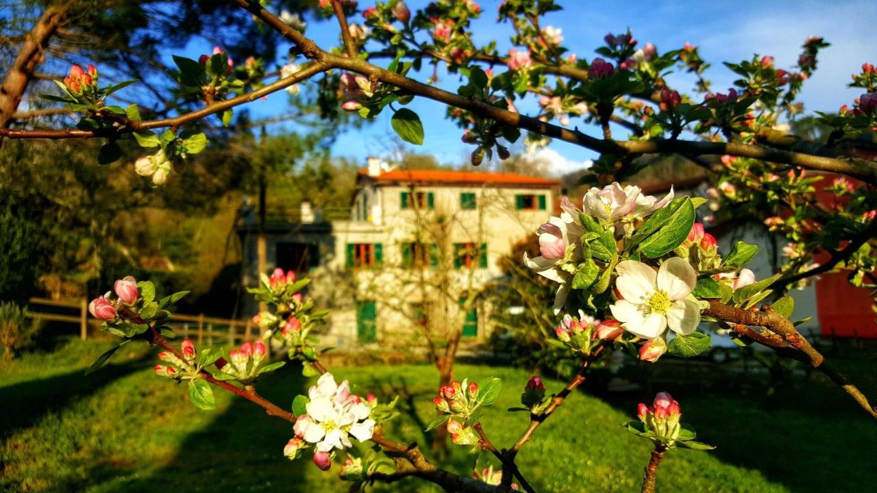 B&B Tre Ponti Castiglione Chiavarese Extérieur photo